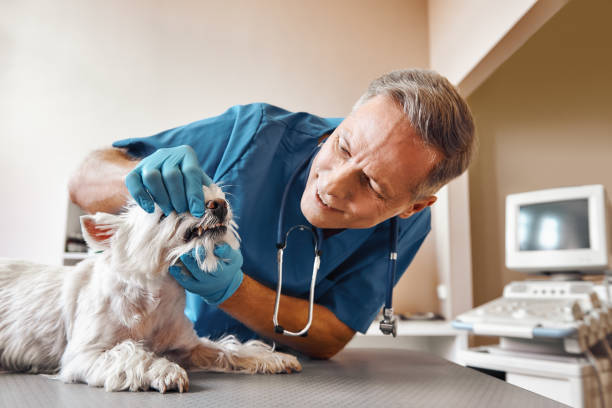 Best Emergency Dental Surgery in Florissant, MO